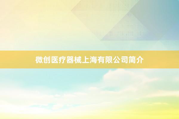 微创医疗器械上海有限公司简介