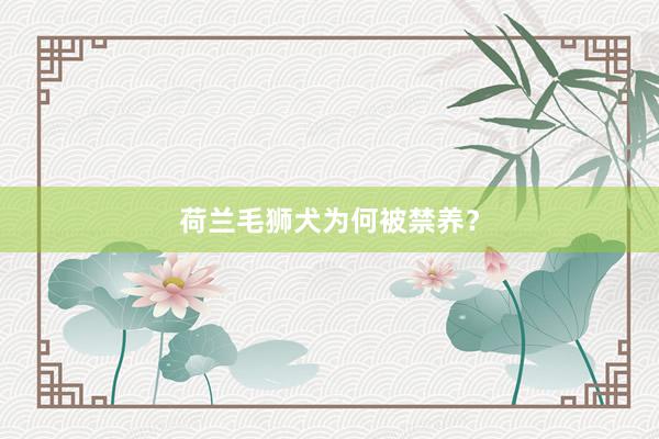 荷兰毛狮犬为何被禁养？